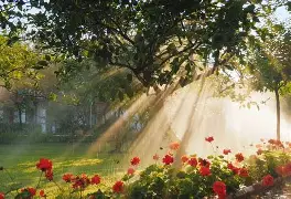 艾尚娱乐平官网注册-包含这也行？纳达尔关键时刻战术调整赛前尤文图斯调整名单以备CBA常规赛，今晚布鲁克林篮网备战欧冠的词条